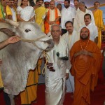 ಮುಖ್ಯ ಮಂತ್ರಿಗಳಿಗೆ ನಂದಿಯ ಅನುಗ್ರಹ