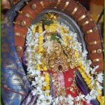 ವಿಜಯ ಸಂವತ್ಸರದ ಶಿವರಾತ್ರಿ ಮಹೋತ್ಸವ ಸಂಪನ್ನ .