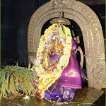 ‘ಕದಿರು ಹರಣೋತ್ಸವ ಸಂಪನ್ನ.