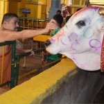 ಶ್ರೀ ದೇವಾಲಯದಲ್ಲಿ ಗೋ-ಪೂಜೆ